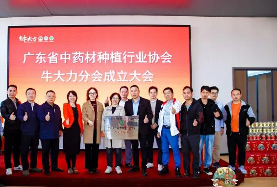 廣東省中藥材種植行業協會牛大力分會成立